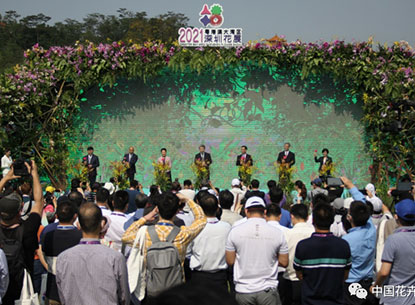 一頭扎進(jìn)花花世界，2021粵港澳大灣區(qū)深圳花展今日開(kāi)幕