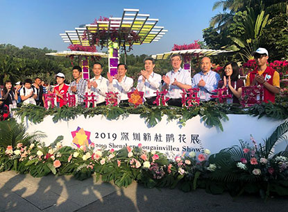 【精彩賞析】葉子花語(yǔ)夢(mèng)，添香逐悅風(fēng) | 2019深圳簕杜鵑花展之悅動(dòng)花園
