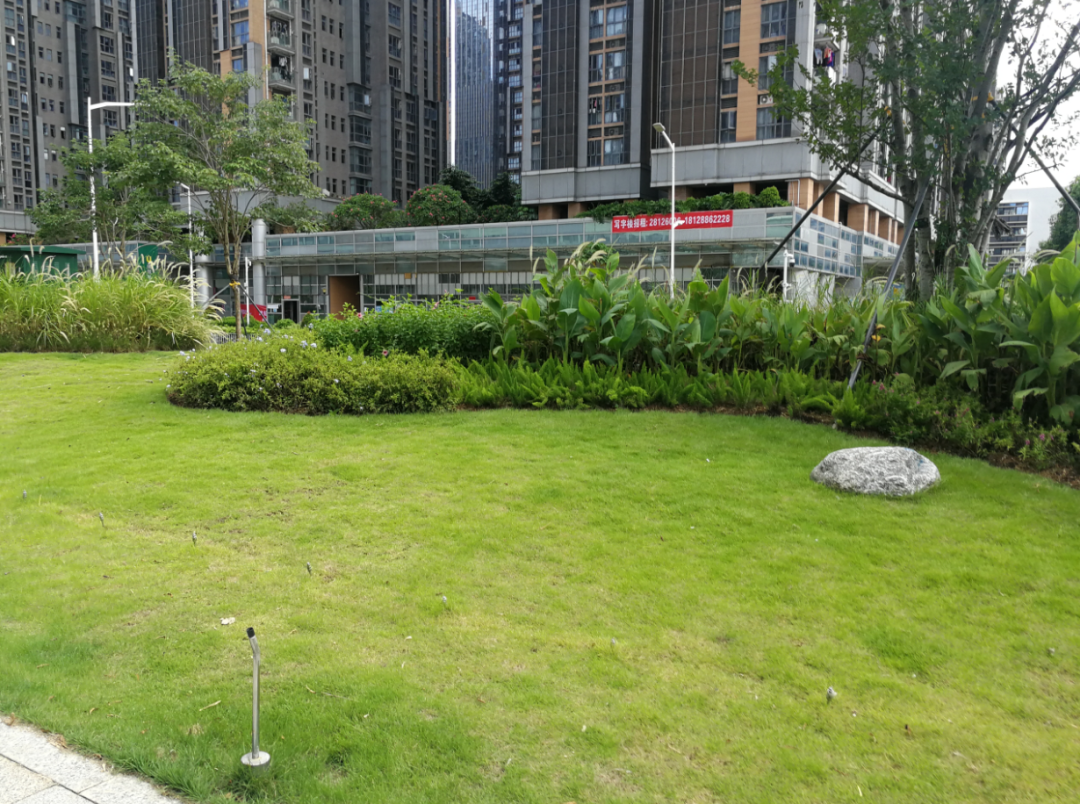 發(fā)現(xiàn)城市的美---環(huán)城綠道建設(shè)項目（綠谷公園段）(圖5)