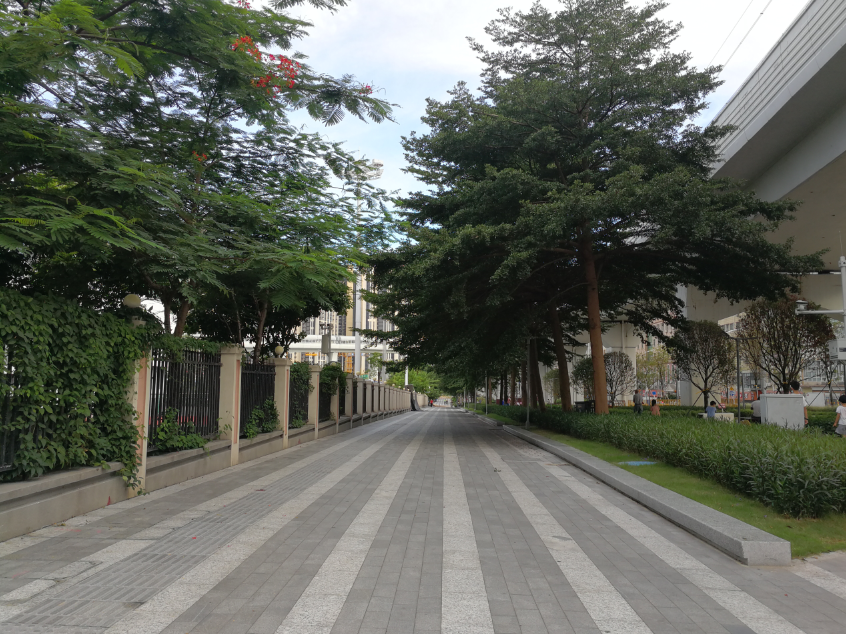 發(fā)現(xiàn)城市的美---環(huán)城綠道建設(shè)項目（綠谷公園段）(圖13)