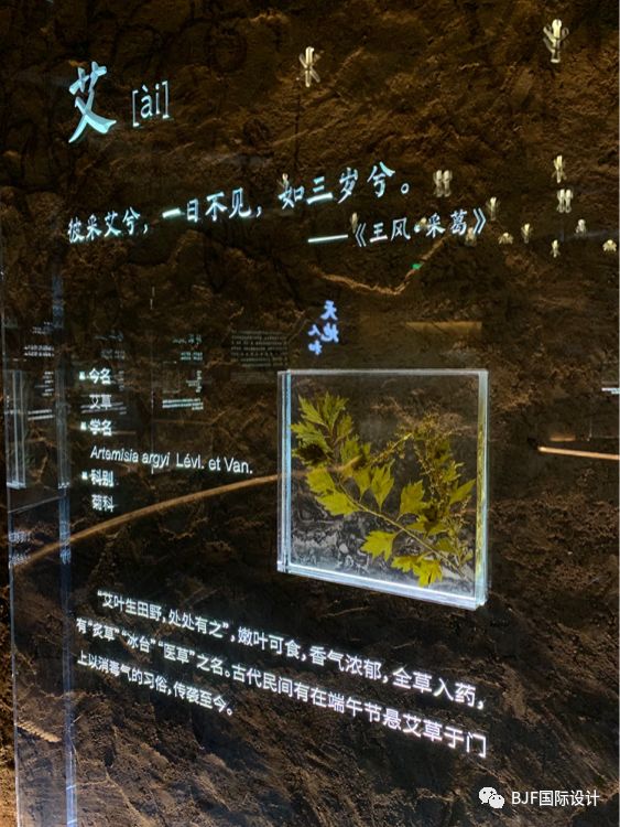 無法去世園會的小伙伴，看這篇就夠了——四館一心(圖6)