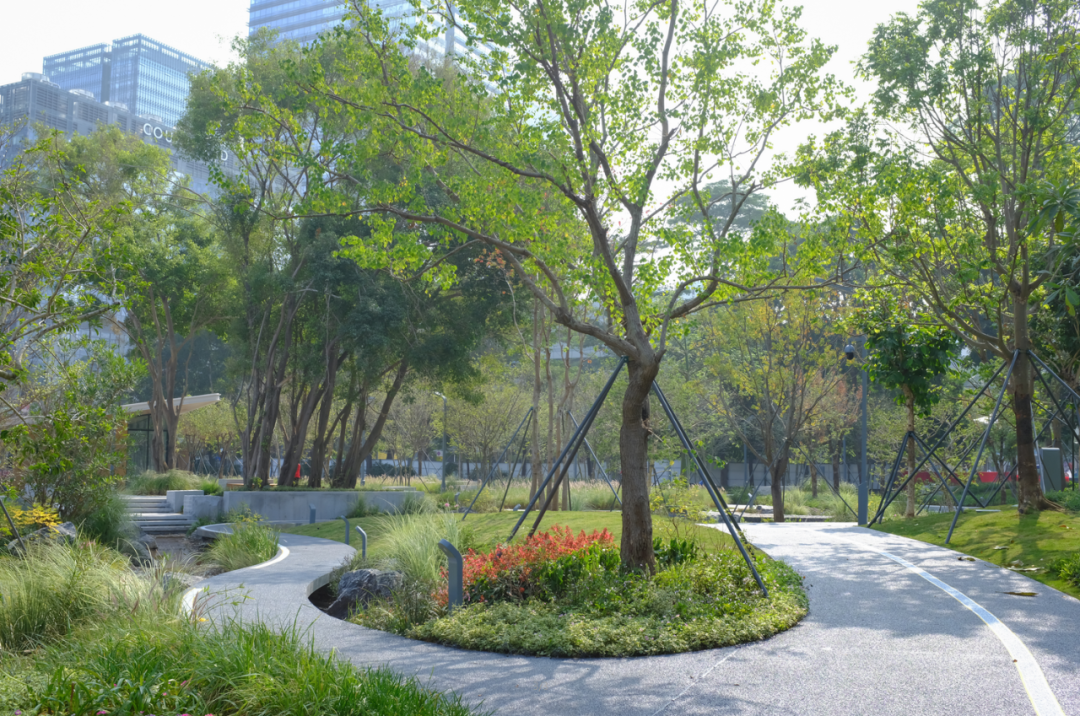 智見 · 云上 | 云之園 CLOUD PARK(圖29) 圖片